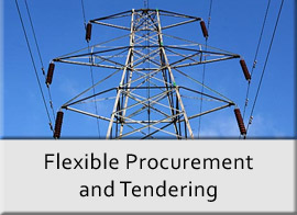 Flexible Procurement and Tendering